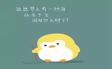 肥料合同参考8篇
