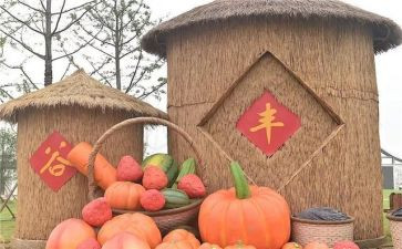 2024年丰收节工作总结5篇