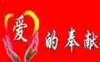 奉献爱心活动策划8篇