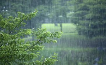 风雨中作文500字作文最新6篇