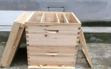 分蜜工段工作总结5篇