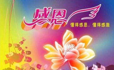 感恩的作文800字作文最新5篇