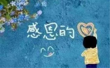 我感恩他作文精选6篇
