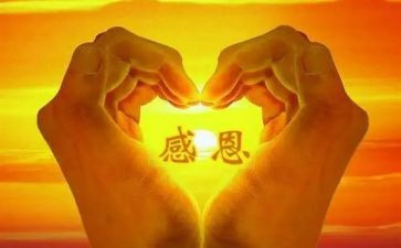 感恩教师活动心得8篇
