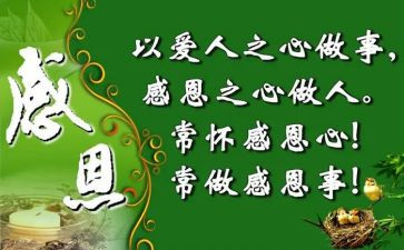 感恩学校的作文800字8篇