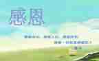 2感恩演讲稿参考5篇