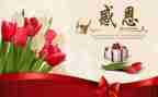 感恩演讲稿范文300字8篇
