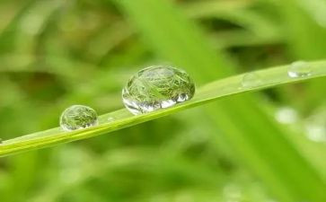 我心灵的甘露作文600字作文推荐8篇