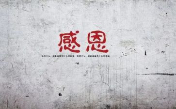 我感谢的她作文模板5篇