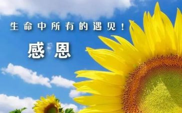 最感谢的人作文400字6篇