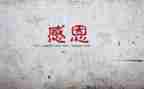 我感谢她作文500字优秀5篇