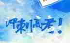 高考工作总结模板7篇