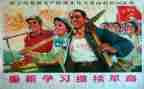 革命书籍读后感6篇