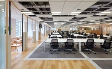 公司让写心得体会最新5篇