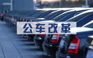 公务年度考核表个人总结5篇