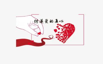 2024年公益岗年终总结6篇