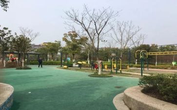 盛合公园的作文精选5篇