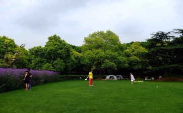 写公园的作文500字7篇