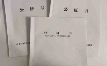2024年公证工作总结7篇
