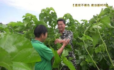 致富带头人主要事迹6篇