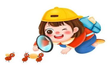 我观察的绿豆作文7篇