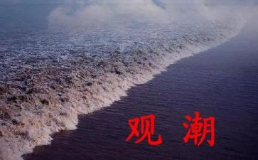 观潮读书心得体会6篇