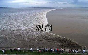 读了观潮后的心得体会6篇