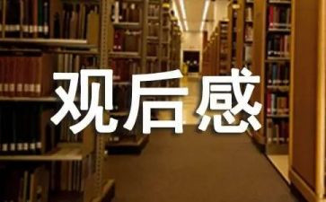 2024年观后感优质7篇