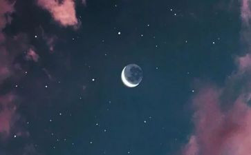 观月亮作文300字模板6篇