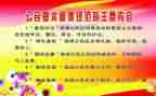 规范字的心得体会5篇