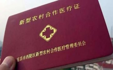合疗工作申请书精选7篇