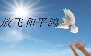 和平教案6篇