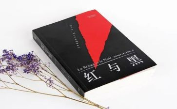 红与黑读后心得体会5篇