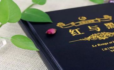 《红与黑》读后感优质5篇