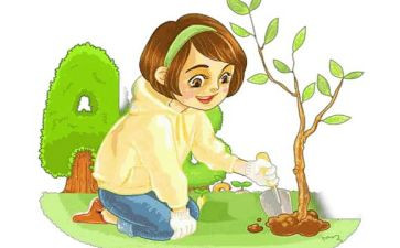 幼儿环保教育活动方案7篇