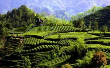 新的校园,新的环境作文7篇