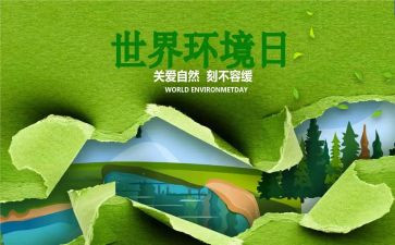 六五环境日活动总结8篇