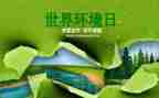 六五环境日活动总结8篇