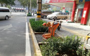 早环卫所工作总结参考7篇