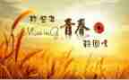 回忆我的母亲,读后感5篇