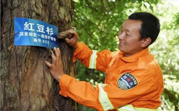 护林员个人总结工作总结5篇