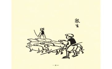 呵护生命的作文7篇