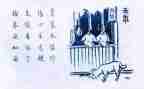 用生命守护生命演讲稿5篇
