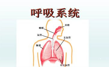 内三呼吸科出科自我鉴定6篇
