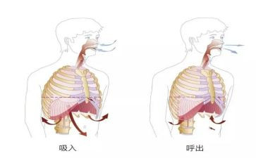 呼吸内科护士述职报告5篇