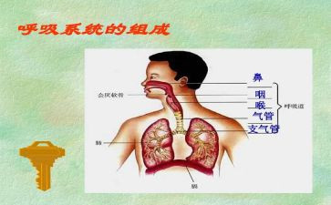 呼吸内科自我鉴定最新7篇