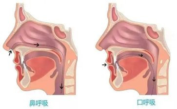 呼吸心内科心得体会7篇