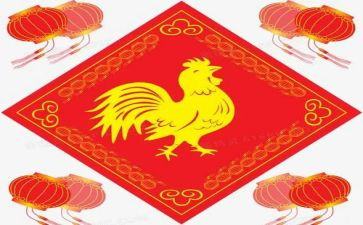 有关鸡的演讲稿通用5篇