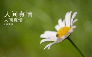真情感流露的作文模板7篇