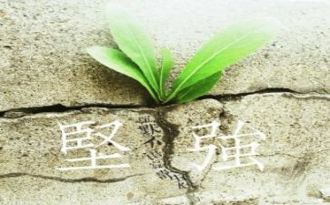 我真想坚强作文7篇